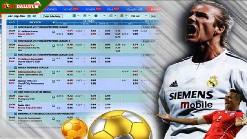 Khi chốt kèo tài xỉu 2 1/4 nên tham khảo kỹ dạng cược khác