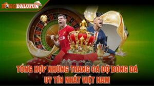 Tổng hợp những trang cá độ bóng đá uy tín nhất Việt Nam