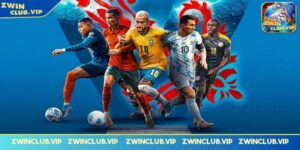 Các môn thể thao phổ biến tại Zwinclub